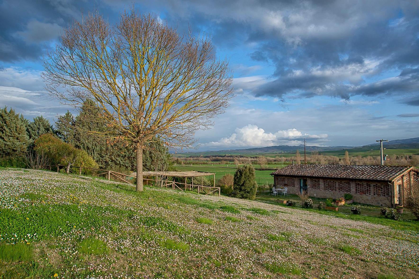 Agriturismo Le Sorbelle D'Orcia Con Piscina Pienza Buitenkant foto