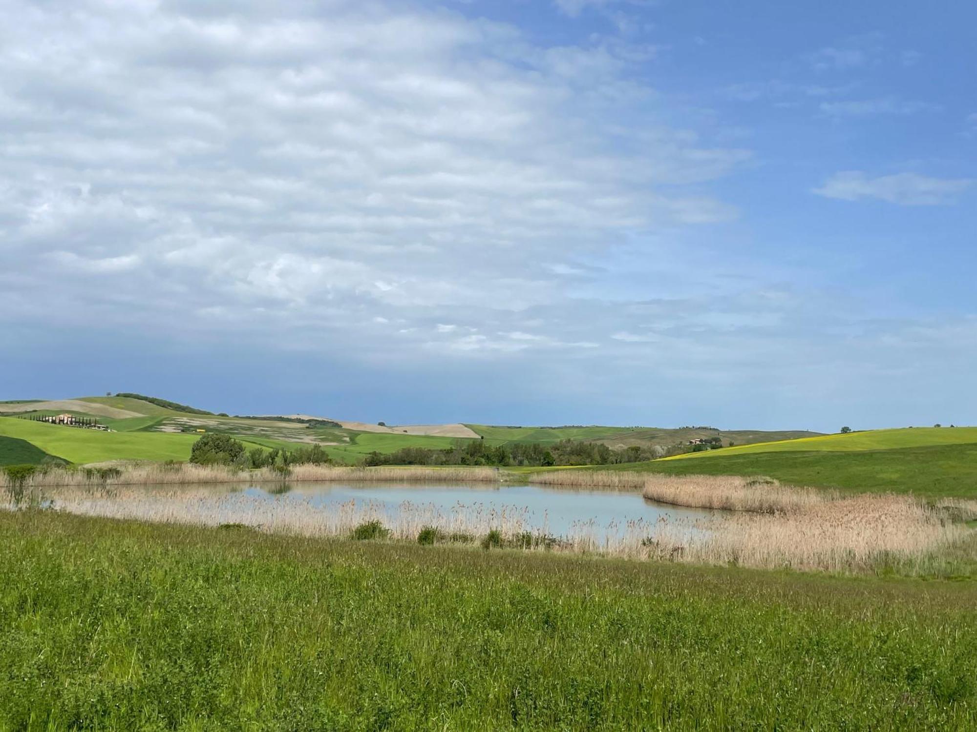 Agriturismo Le Sorbelle D'Orcia Con Piscina Pienza Buitenkant foto